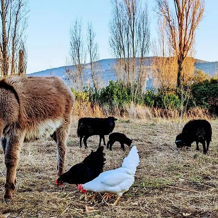A La Ferme, Billard Et Jacuzzi Prive Et Piscine.