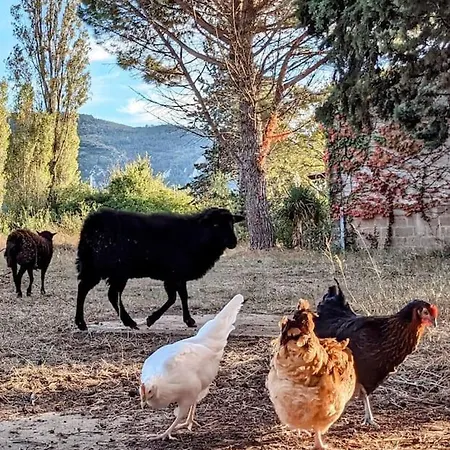 A La Ferme, Billard Et Jacuzzi Prive Et Piscine.