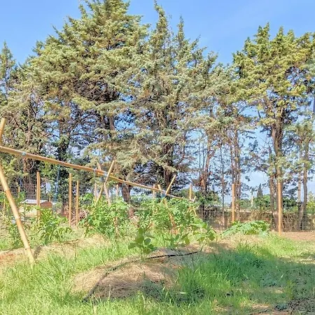 A La Ferme, Billard Et Jacuzzi Prive Et Piscine.